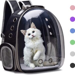 لوازم نگهداری گربه کیف