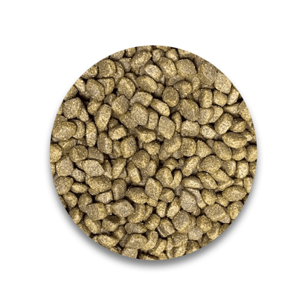 غذای خشک گربه رفلکس پلاس Hairball & Indoor with Salmon وزن 15 کیلوگرم - تصویر 2