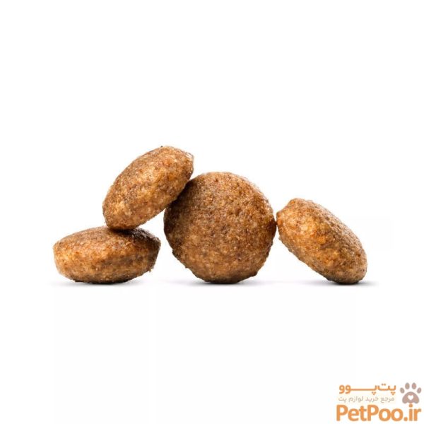 غذای خشک درمانی مشکلات پوستی سگ هپی داگ Happy Dog VET Diet Skin وزن 1 کیلوگرم - تصویر 2