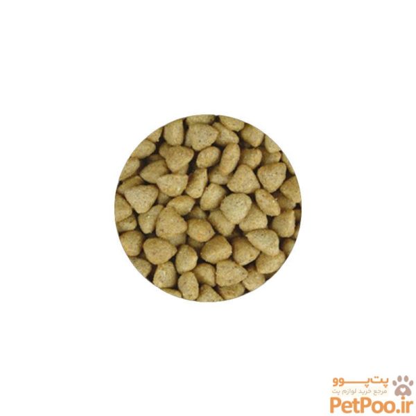 غذای خشک بچه گربه جوسرا با طعم گوشت پرندگان JosiCat Kitten Poultry وزن 1 کیلوگرم - تصویر 2