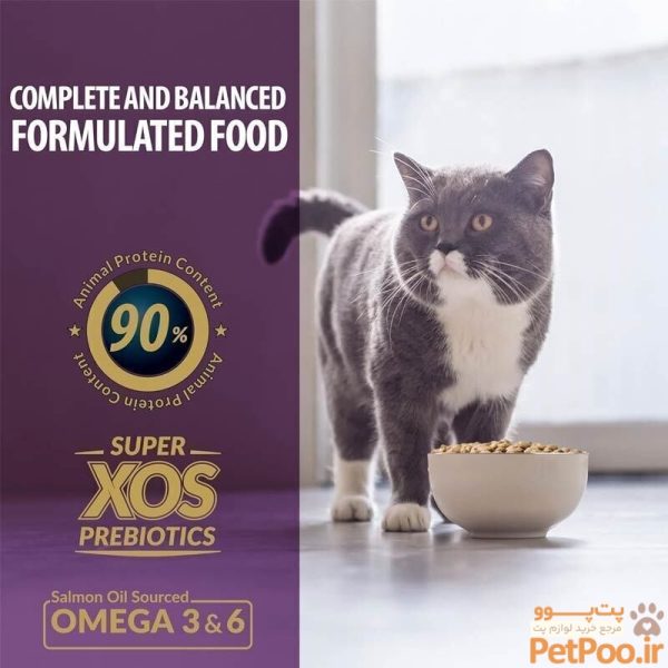 غذای خشک گربه رفلکس پلاس Reflex Plus Adult Gourmet وزن 15 کیلوگرم - تصویر 4