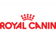 صفحه اصلی 28 ac67976f23cd42f08f570ff1c93a551c min