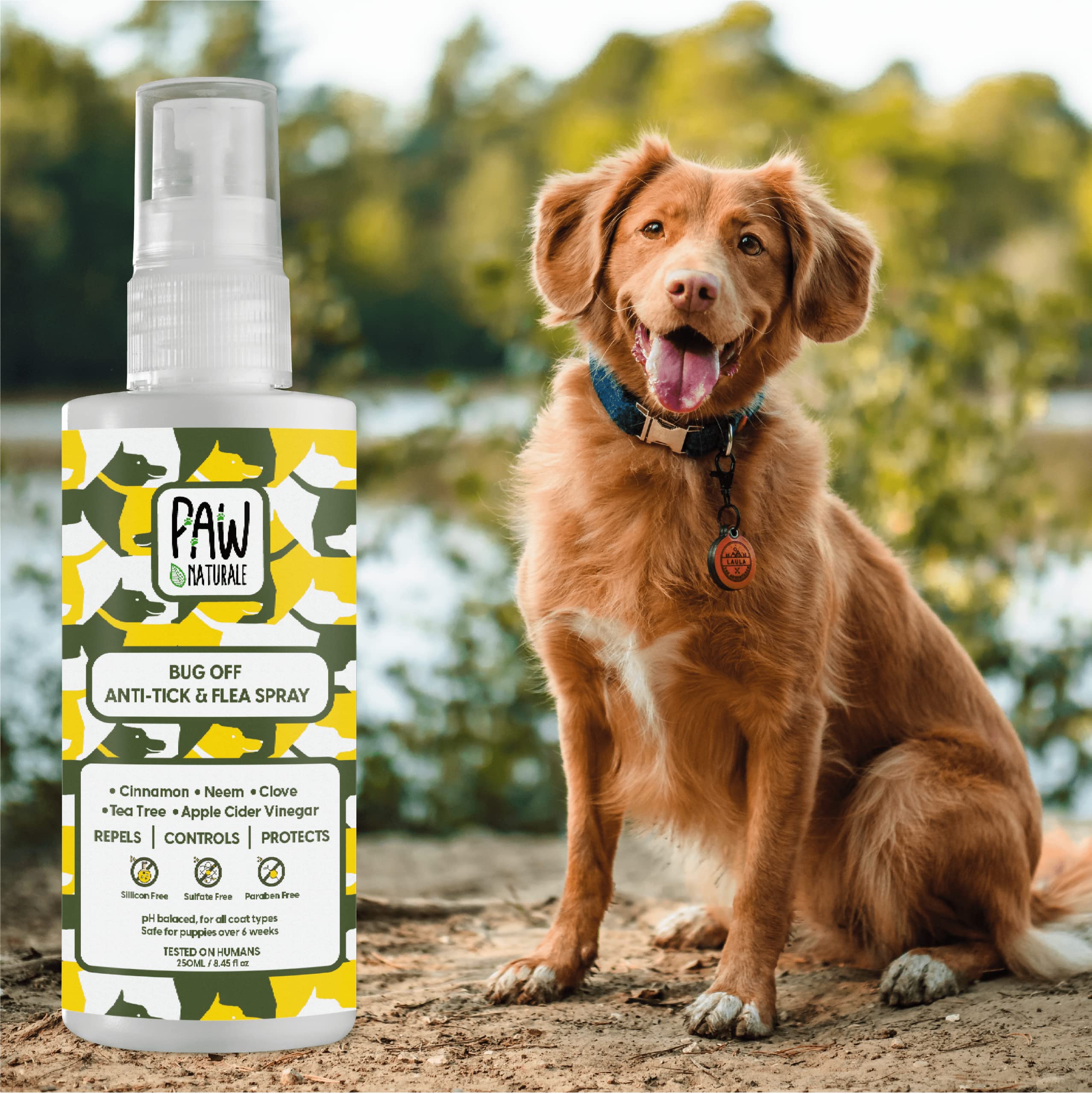 انواع اسپری سگ