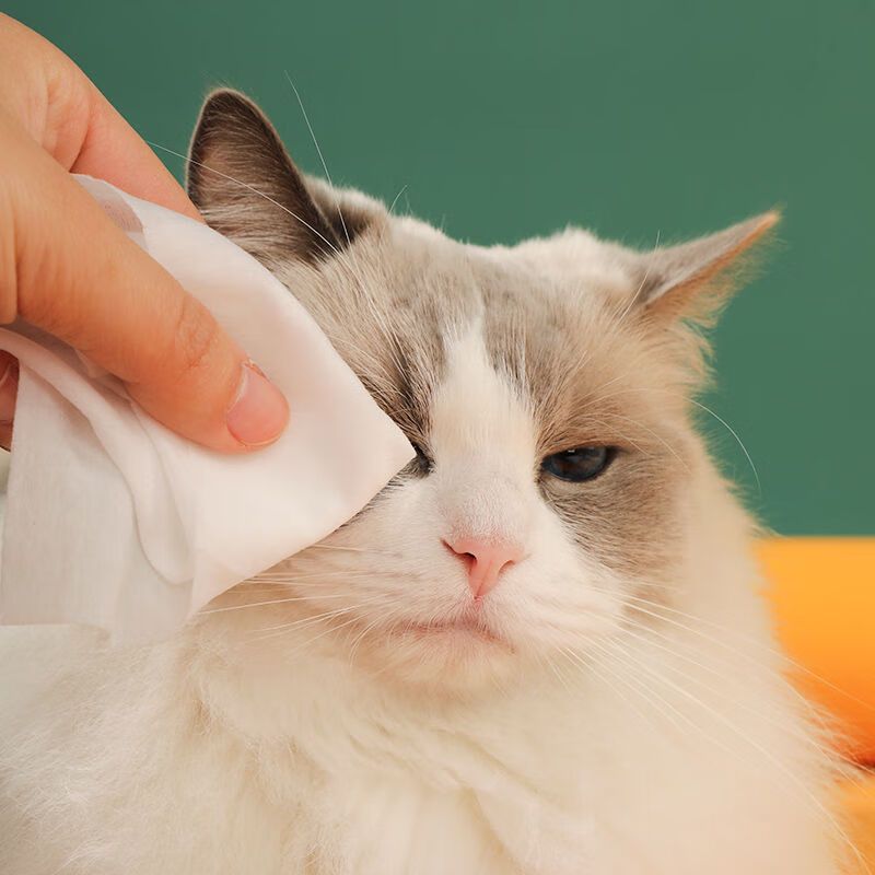 دستمال مرطوب گربه 