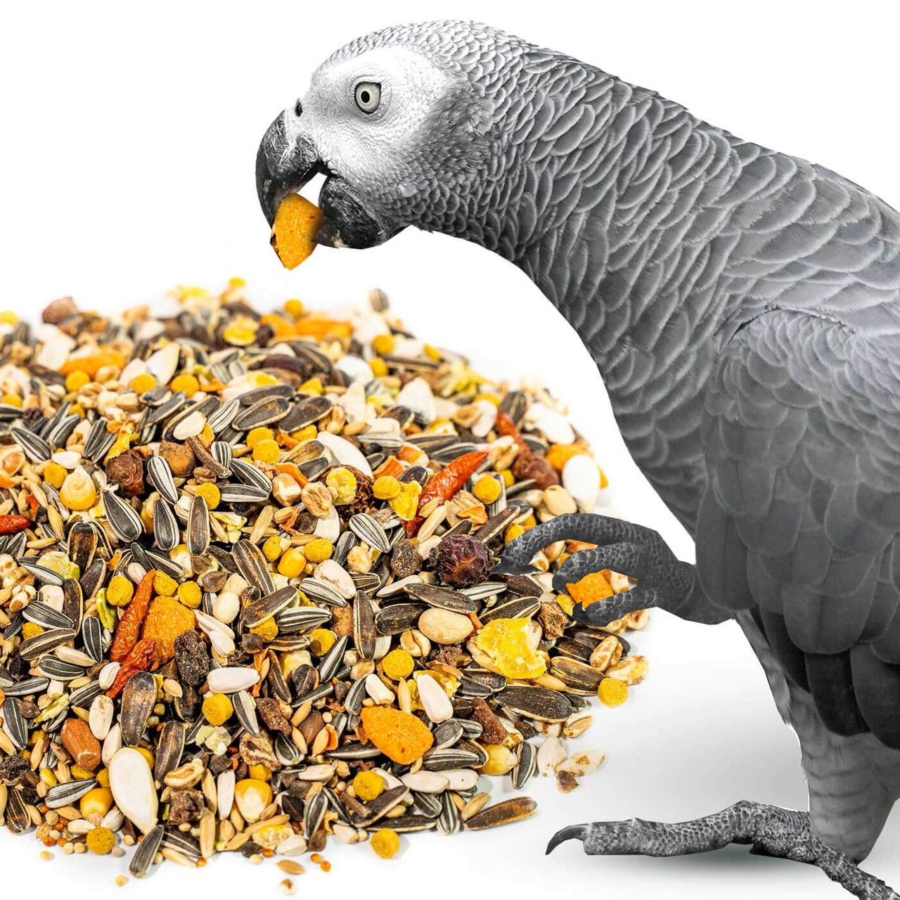 غذای کاسکو مخلوط تخمه و مغز بادام