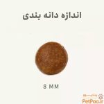 غذای خشک مخصوص گربه بالغ عقیم شده بابین Babin Adult Sterilised With Chicken وزن 1.5 کیلوگرم - تصویر 2