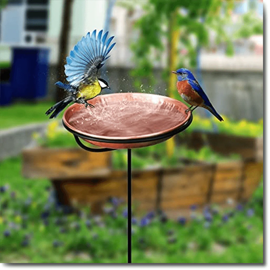 لوازم نگهداری آب خوری پرنده