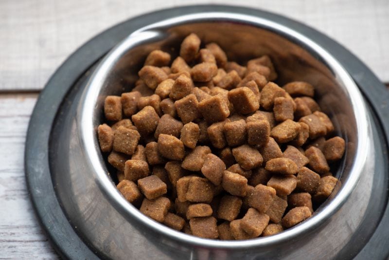 غذای دوبرمن