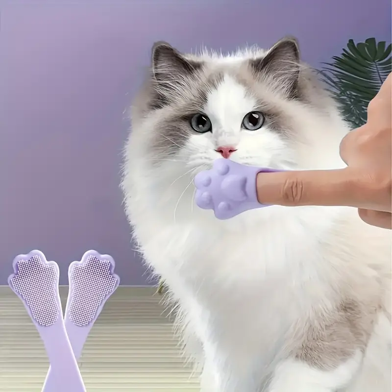 مسواک گربه انگشتی