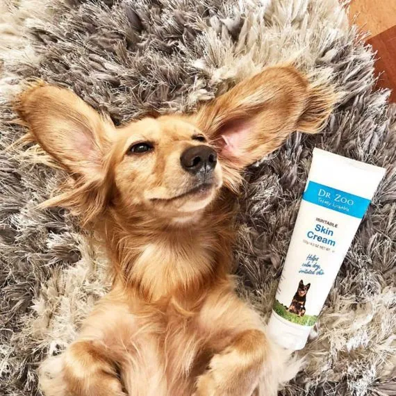 کرم و لوسیون دست و پای سگ