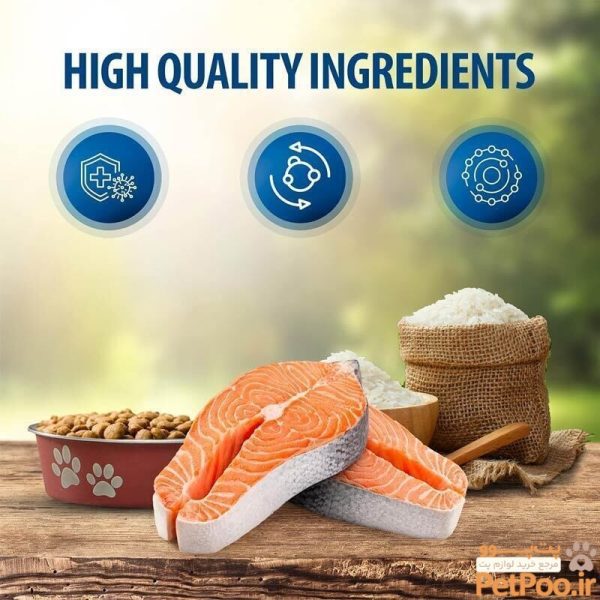 غذای خشک گربه بالغ با طعم ماهی سالمون رفلکس پلاس Reflex Plus Adult Salmon وزن 15 کیلوگرم - تصویر 5