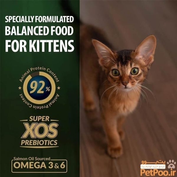 غذای خشک بچه گربه رفلکس پلاس Reflex Plus Chicken Kitten وزن 15 کیلوگرم - تصویر 4