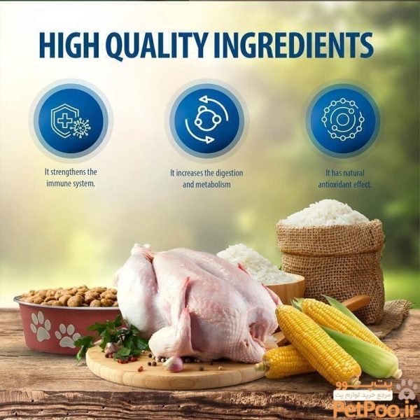 غذای خشک بچه گربه رفلکس پلاس Reflex Plus Chicken Kitten وزن 15 کیلوگرم - تصویر 5