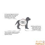 غذای خشک توله سگ رویال کنین Royal Canin Gastrointestinal Puppy وزن 1 کیلوگرم - تصویر 3