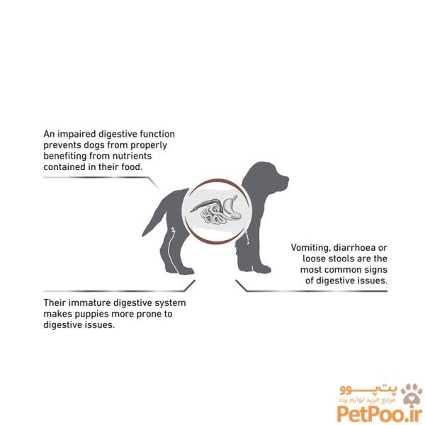 غذای خشک توله سگ رویال کنین Royal Canin Gastrointestinal Puppy وزن 1 کیلوگرم - تصویر 3