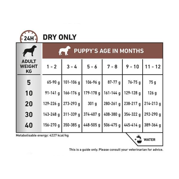 غذای خشک توله سگ رویال کنین Royal Canin Gastrointestinal Puppy وزن 1 کیلوگرم - تصویر 6