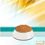غذای خشک گربه رفلکس Sterilised وزن 2 کیلوگرم - تصویر 2