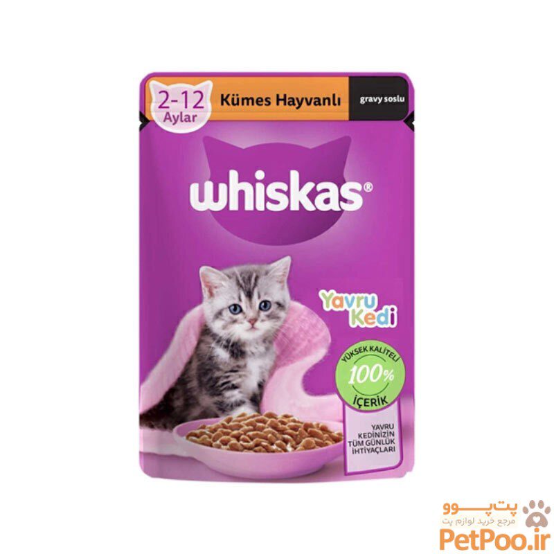 پوچ بچه گربه ویسکاس با طعم گوشت پرندگان Whiskas Junior With Poultry in Gravy وزن 85 گرم پوچ بچه گربه ویسکاس با طعم گوشت پرندگان Whiskas Junior With Poultry in Gravy وزن 85 گرم - تصویر 1