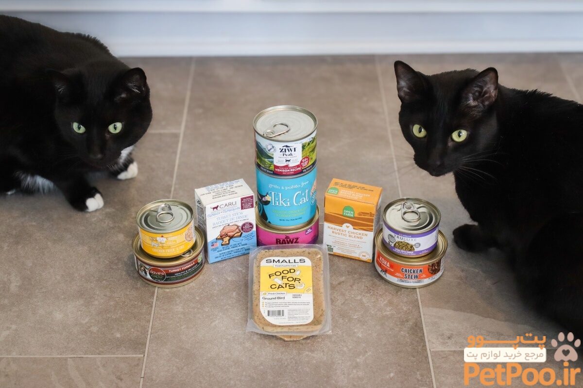 10 Best Wet Cat Foods 2024 4 1