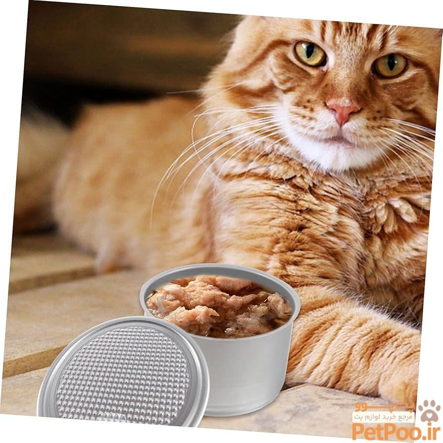 Amazon.com: Beavorty 8 pcs Cans Empty pet Food Can Cat Treat Container tea tin Pet Food Storage can cake tin Pet Food Bin cat food can Small Pet Food jar Dog Treats