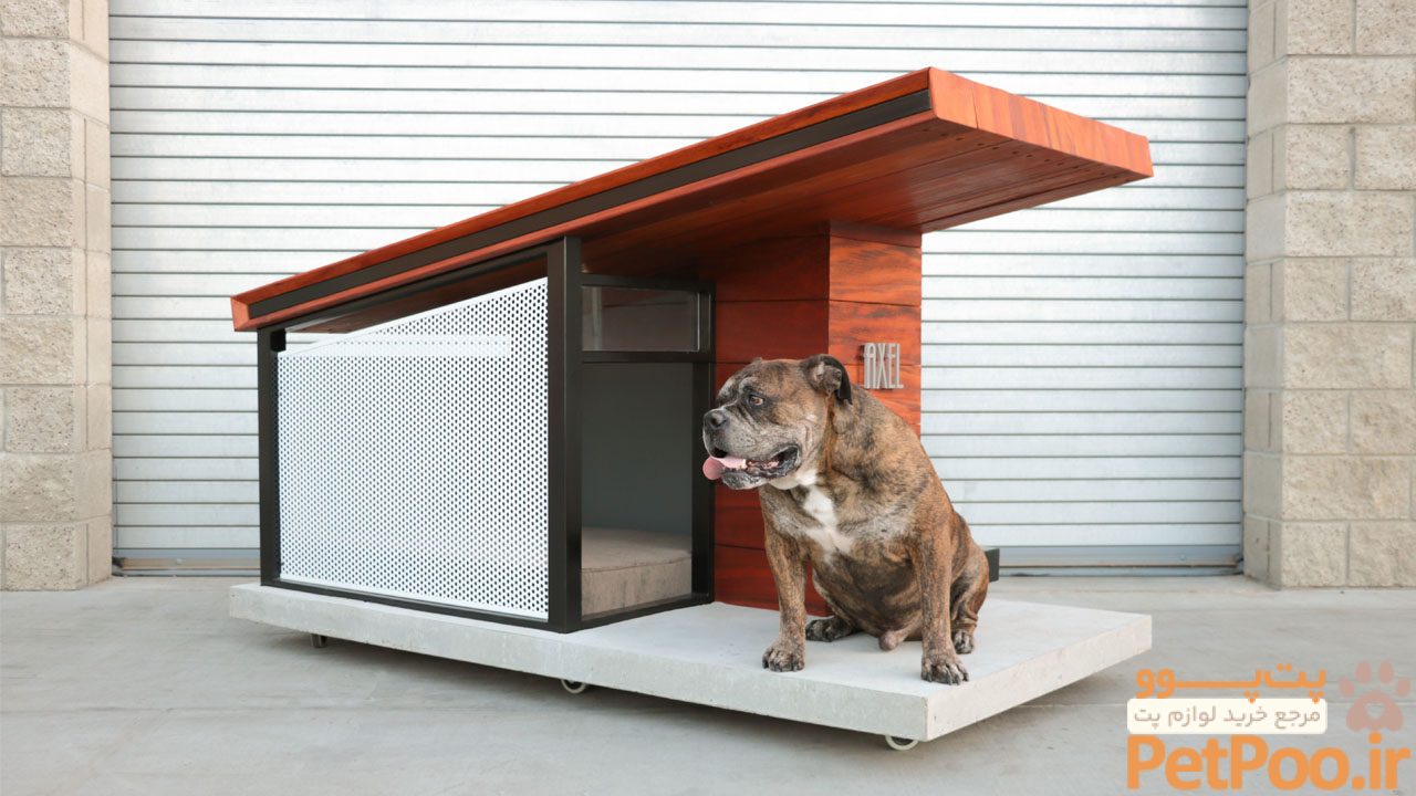 آموزش ساخت خانه برای حیوانات خانگی 4 15 Architectural Doghouses That'll Put Your Home to Shame
