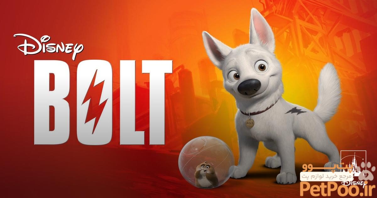 Bolt