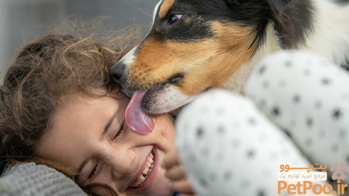 راههای انتقال بیماری از سگ به انسان چیست؟ 3 dog licking a child sm