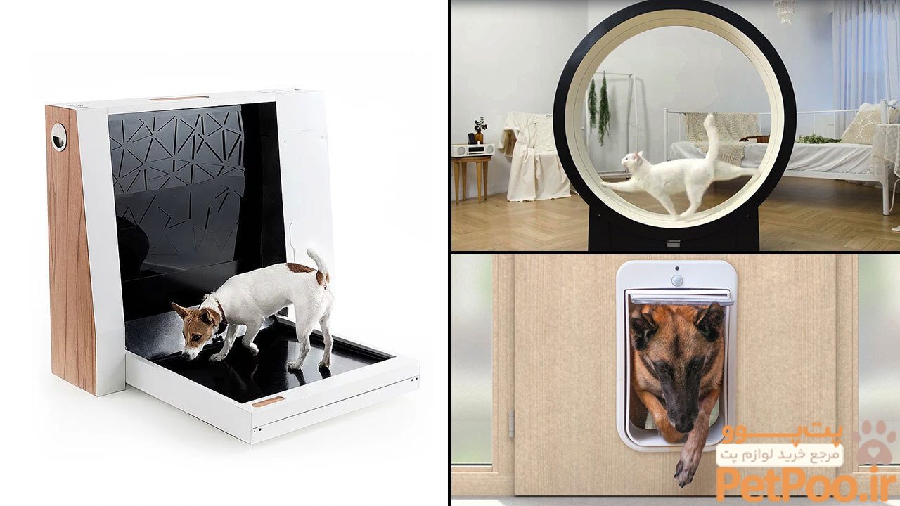 آموزش ساخت خانه برای حیوانات خانگی 2 large smarthomes pets lead