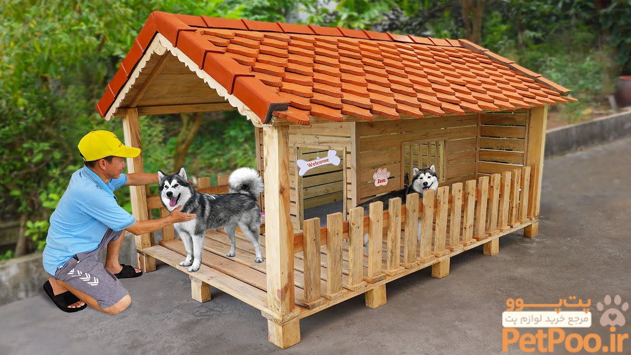 آموزش ساخت خانه برای حیوانات خانگی 3 DIY new house for pets | How to make dog house at home