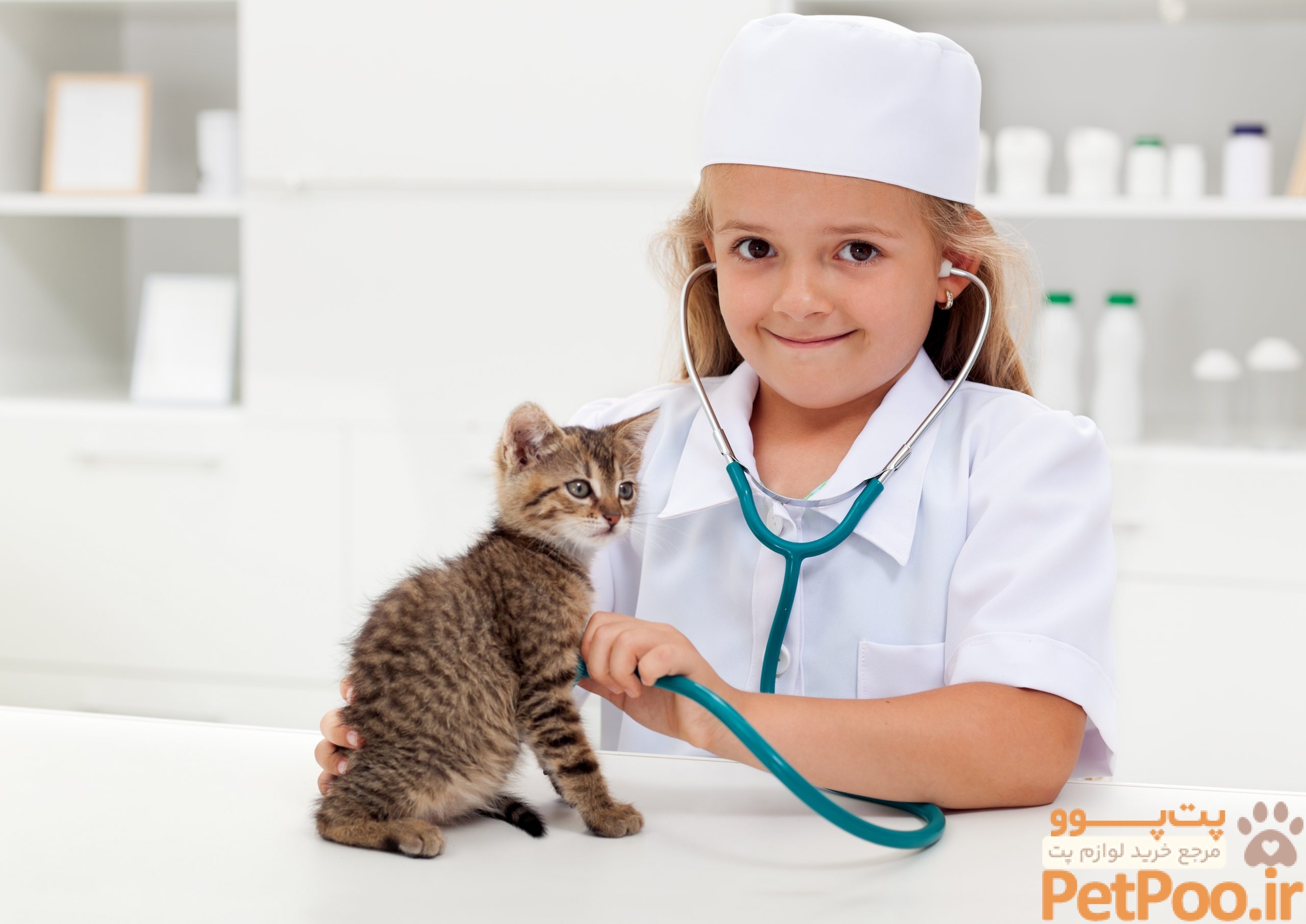 10 Hot Trends and Topics in Veterinary Medicine Right Now Katy TX scaled