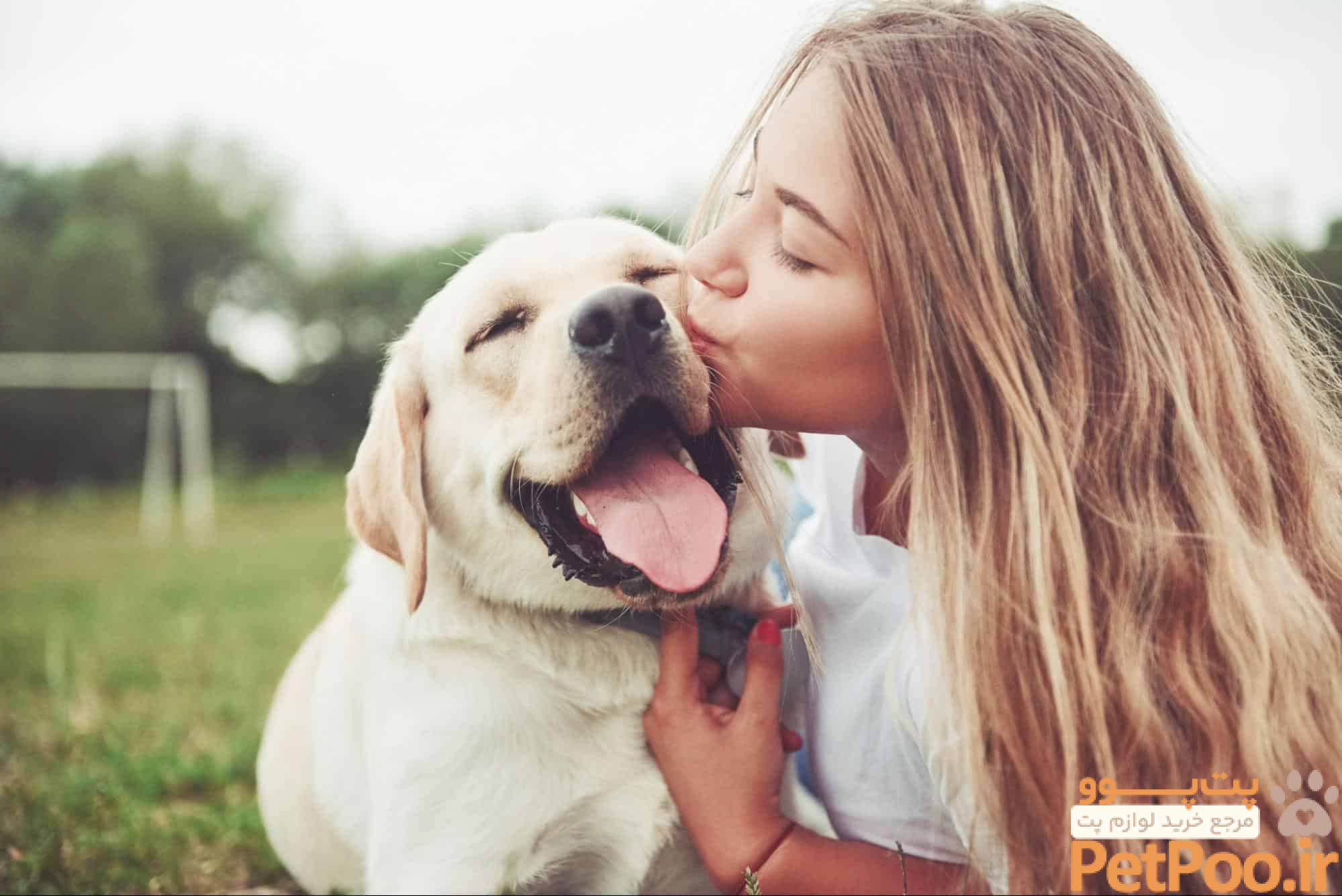 ۱۰ نکته کلیدی درباره نگهداری از سگ در منزل 3 10 Science-Based Benefits of Having a Dog - Ruffgers Dog Blog