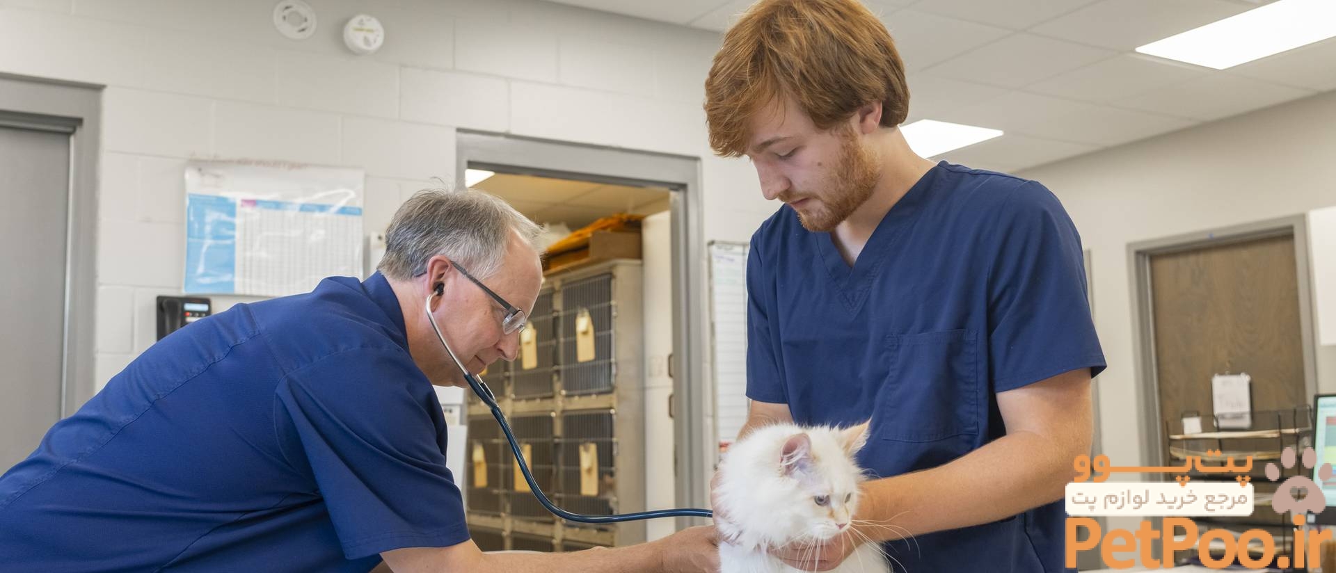 21492 20230802 Pre Veterinary Medicine 02 homepage