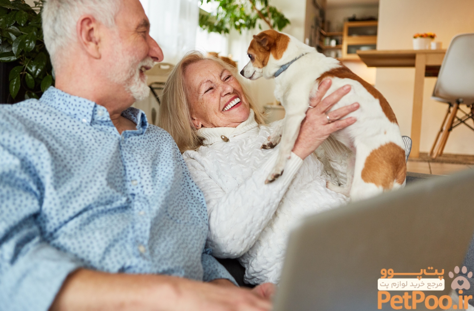 5 Best Pets for Seniors | The Villages of Murfreesboro