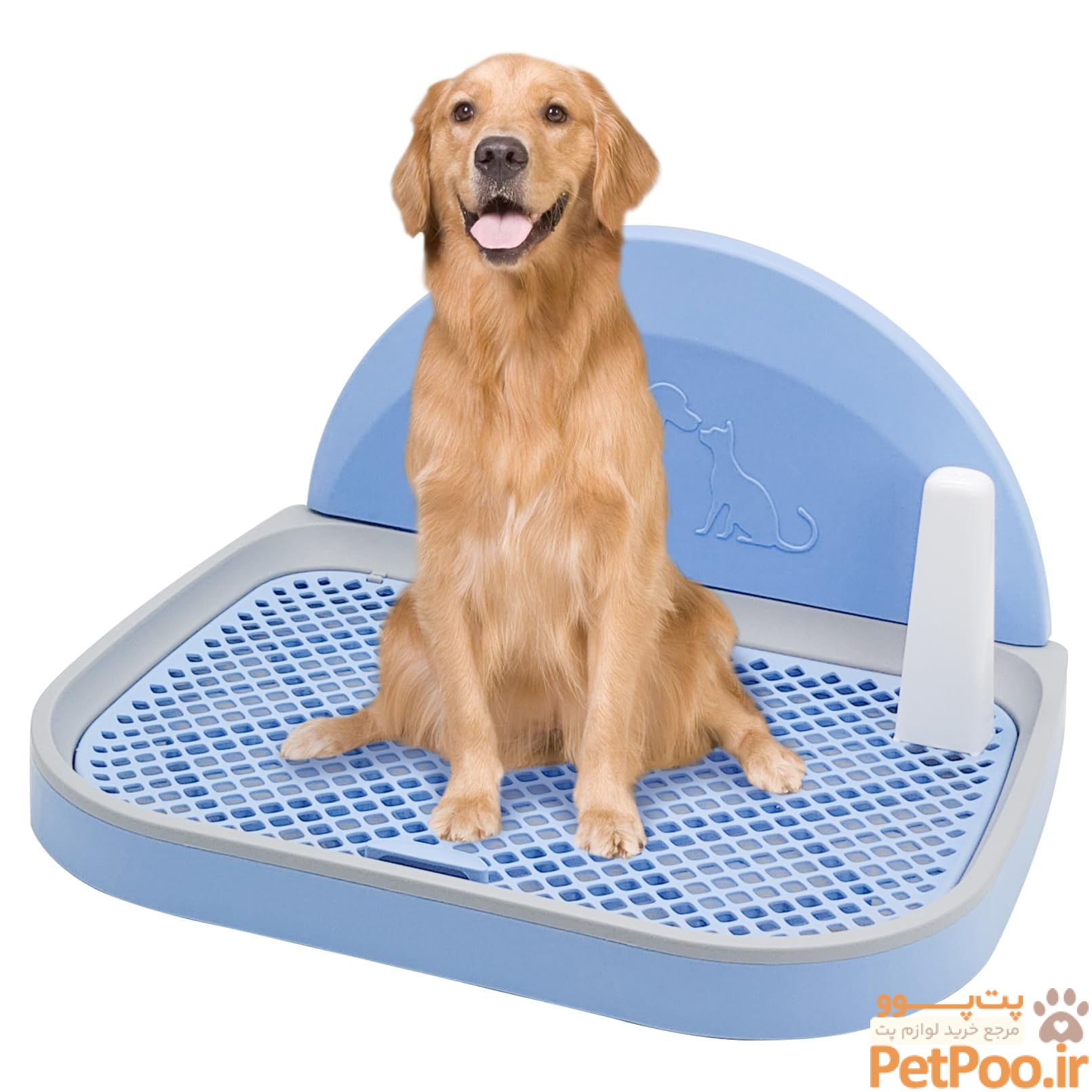 راهنمای 10 مرحلهای آموزش دستشویی سگ در جای مخصوص 3 Amazon.com : PINVNBY Dog Potty Toilet with Wall Column, Indoor Pet Dog Training Toilet Potty Tray, Puppy Portable Training Pee Pads Holder, Removable Mesh Dog Litter Box for Dogs (22.44 x 17.72