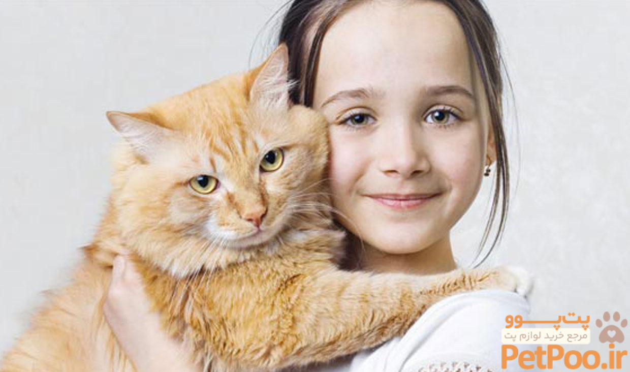 چگونه به گربه آموزش دهیم که دست بدهد؟ 2 7 1