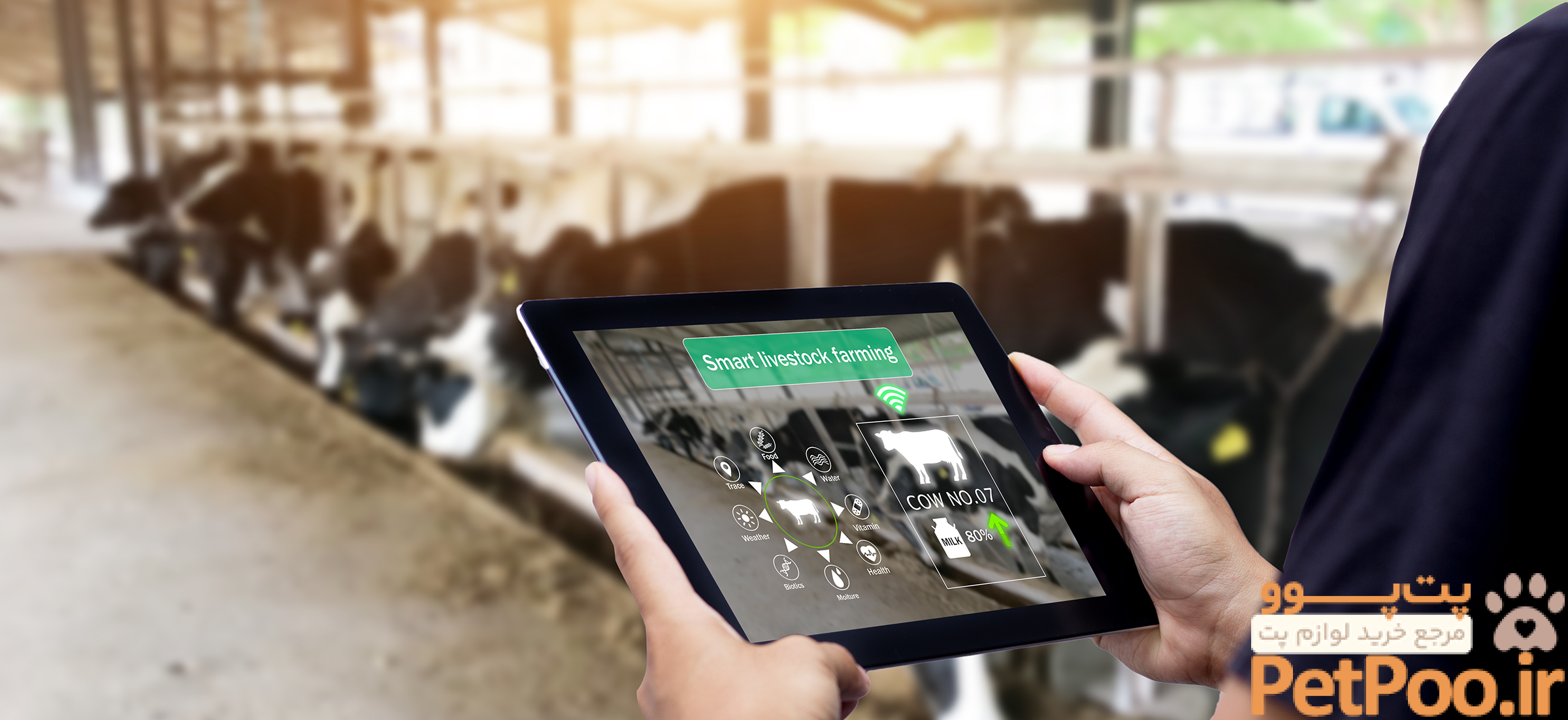 5 روش برای جلوگیری از گم شدن حیوانات خانگی 6 A glimpse into the future of production animal welfare - ClearFarm