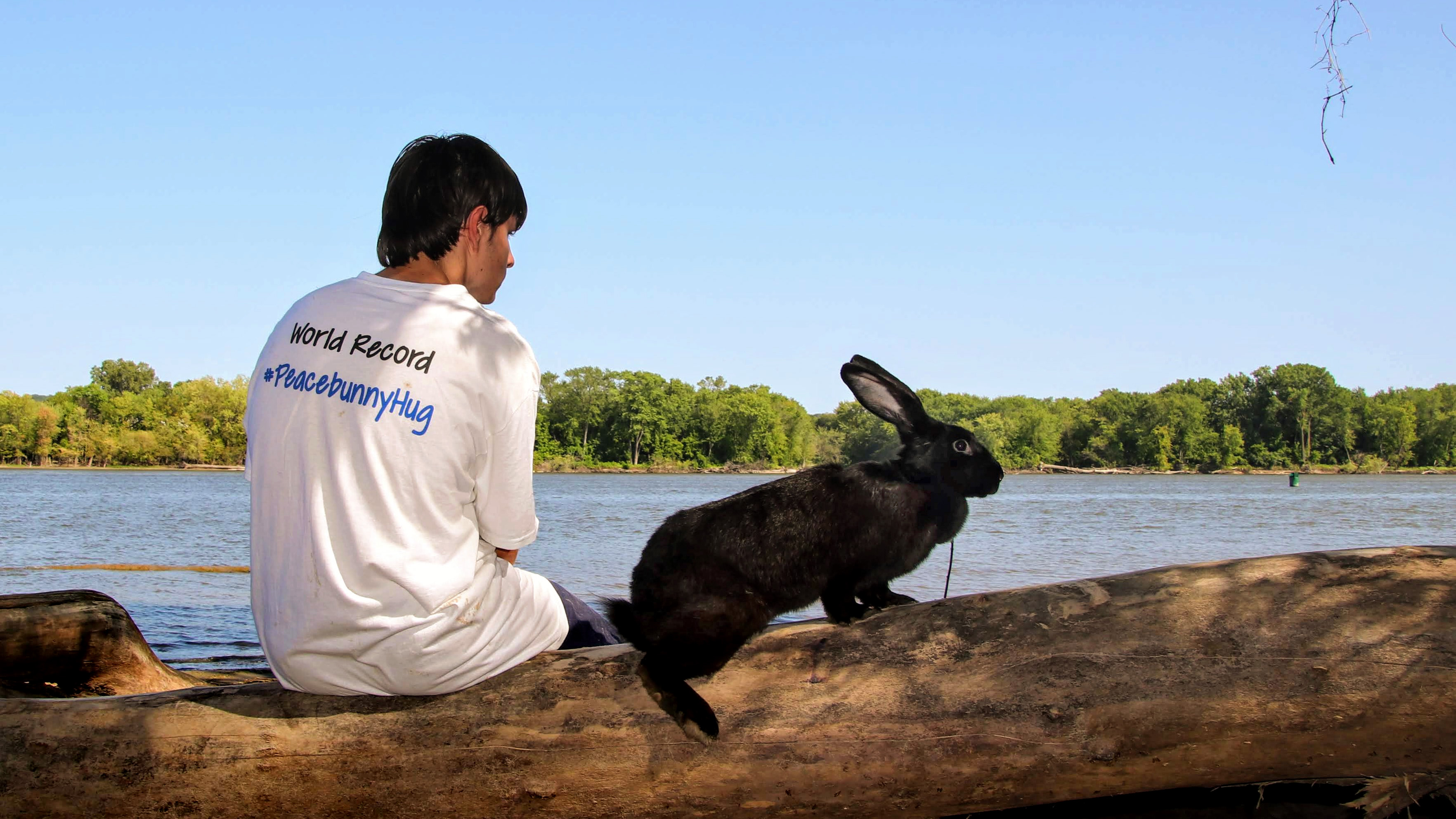 بهترین حیوانات خانگی برای نوجوانان چیست؟ 3 Teen makes biz bringing bunnies and people together on Mississippi island off South St. Paul – Twin Cities
