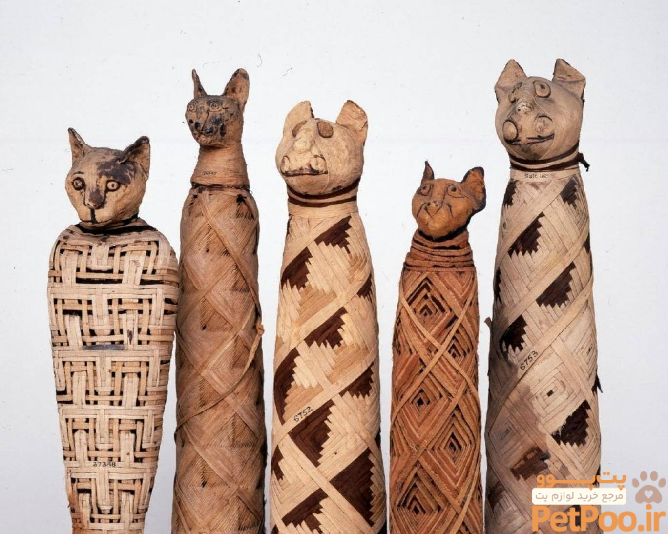 افسانههای مصری درباره گربهها 1 C2A9 The Trustees of the British Museum