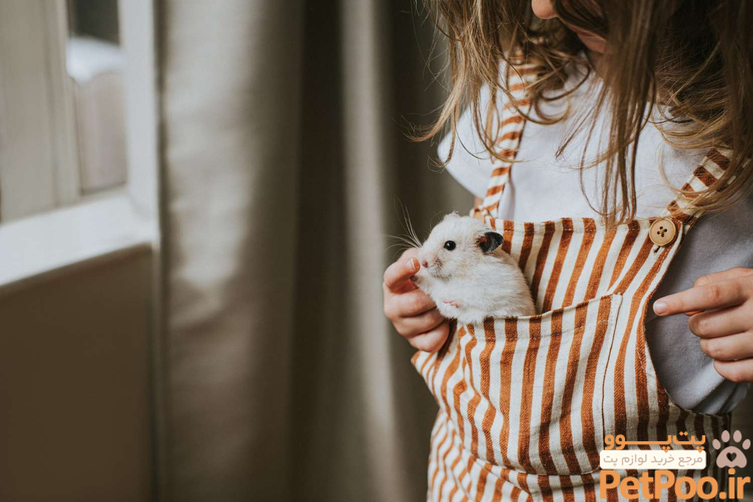 بهترین حیوانات خانگی برای نوجوانان چیست؟ 4 7 Best Small Pets to Consider for Your Child