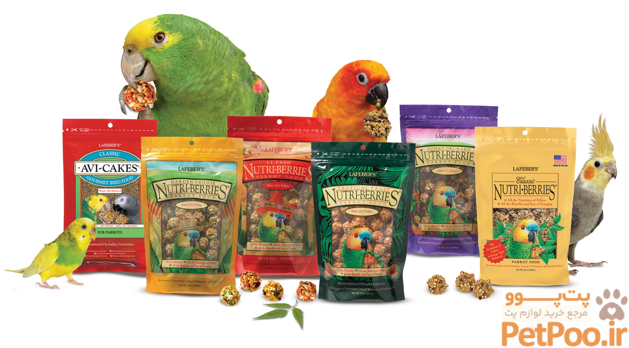 INT Pet Product Image Collage JUN18