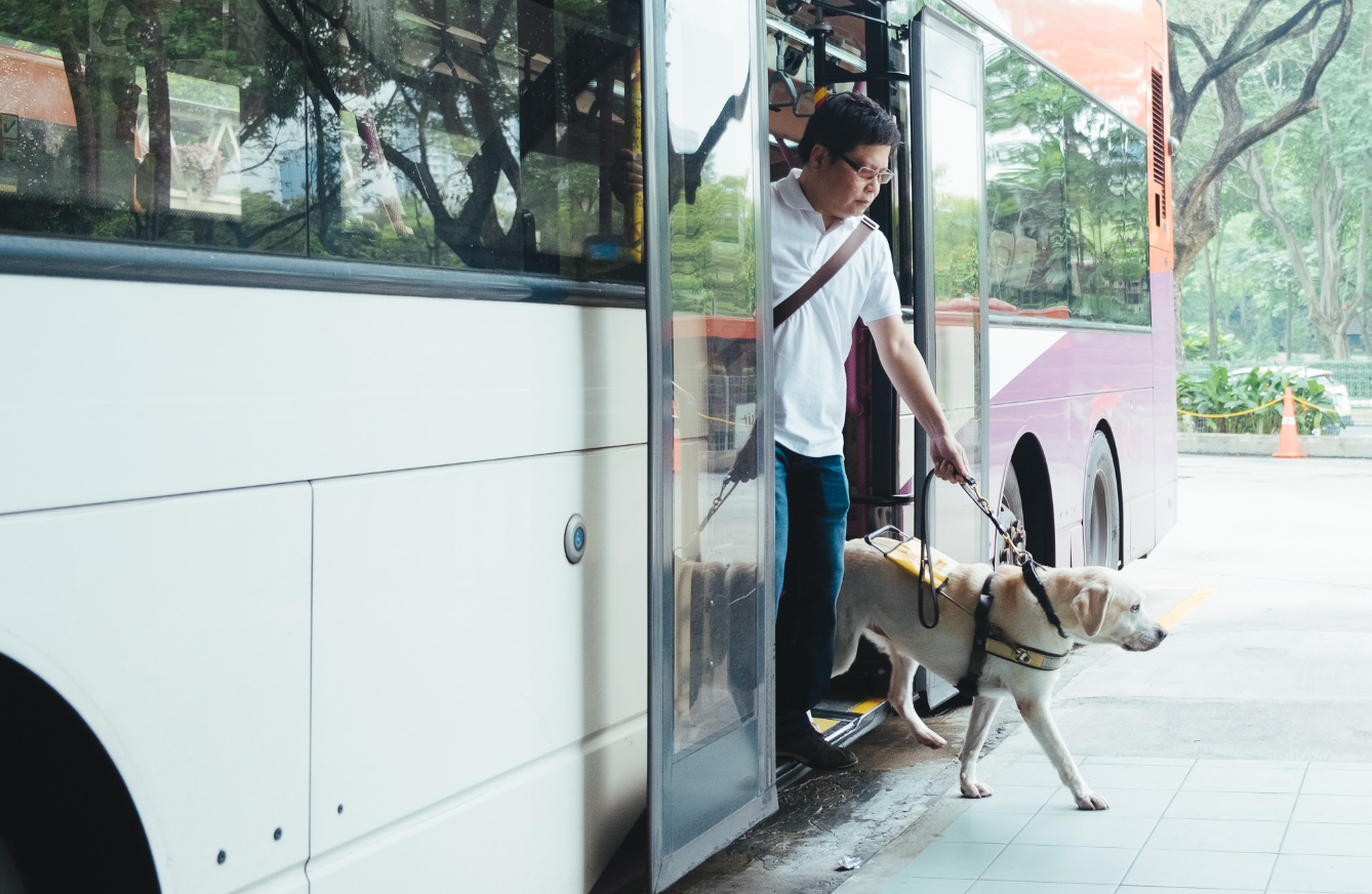 No pets allowed on S'pore public transport except guide dogs: Iswaran - Mothership.SG - News from Singapore, Asia and around the world