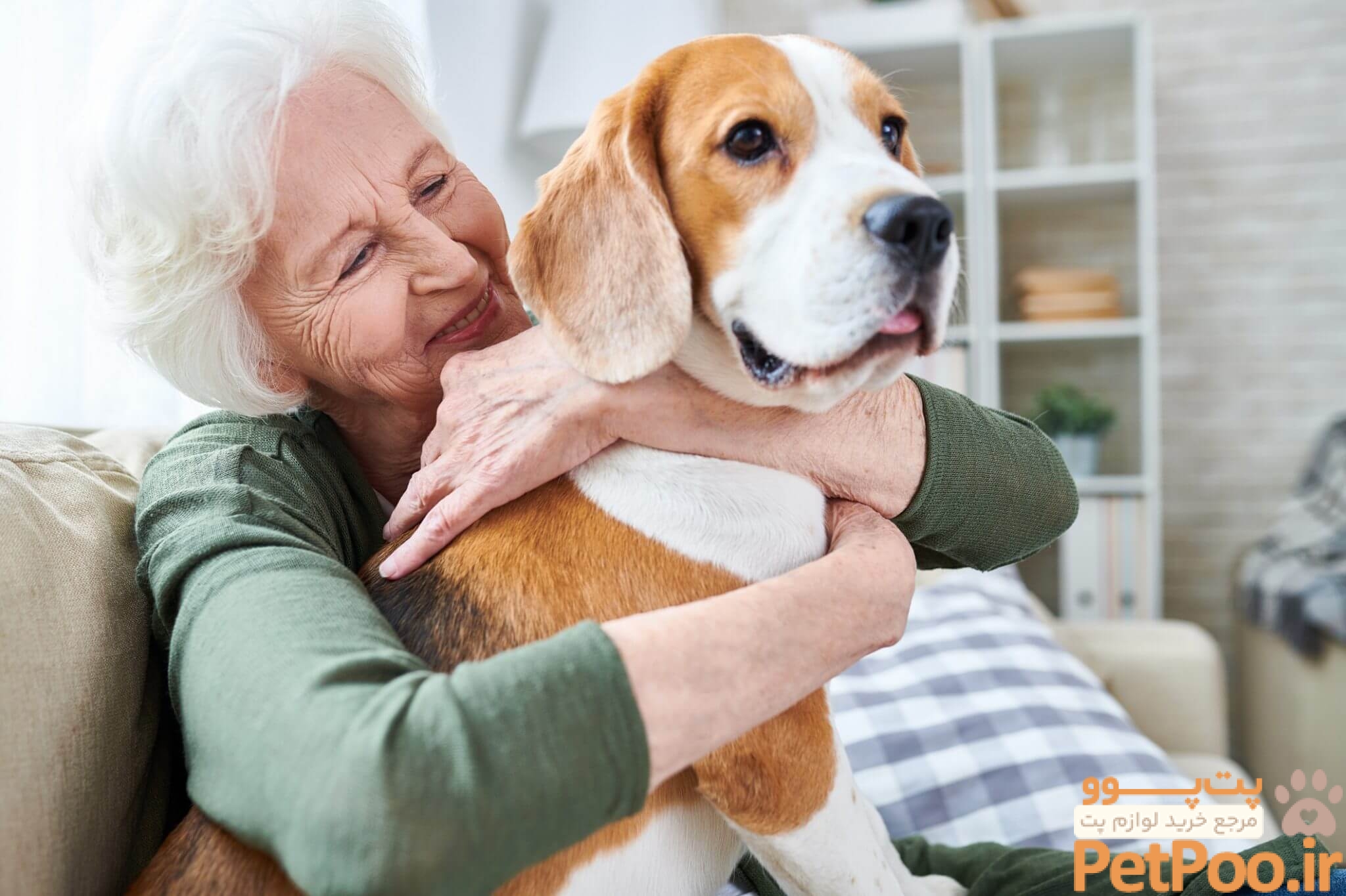Why Is Your Pet's Weight So Important?