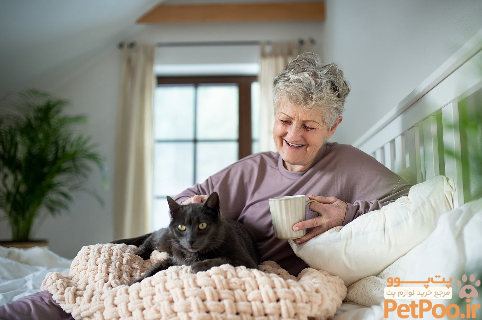 Home Care: How Cats Can Help Seniors with Depression?
