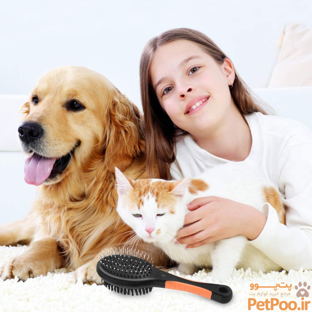 آزمایش و تستهای بیرحمانه لوازم آرایشی روی حیوانات، واقعی است؟ 4 آرایشگاه حیوانات خانگی و خدمات پت در منزل و محل شما - تیپ چین