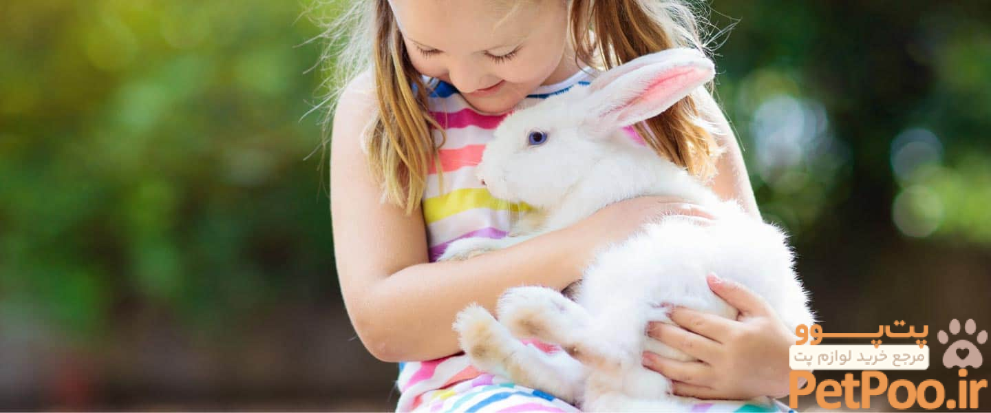 بهترین حیوانات خانگی برای کودکان چیست؟ 4 Do rabbits make good pets for children? < Goodheart Animal Sanctuaries