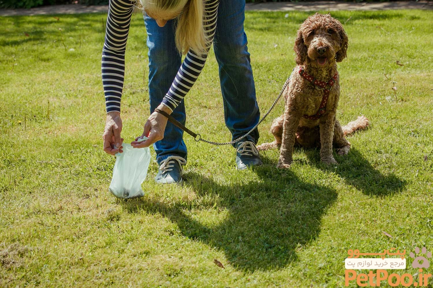 Dog poop vs. wildlife poop: Not all animal excrement is equal | Forest Preserve District of Will County
