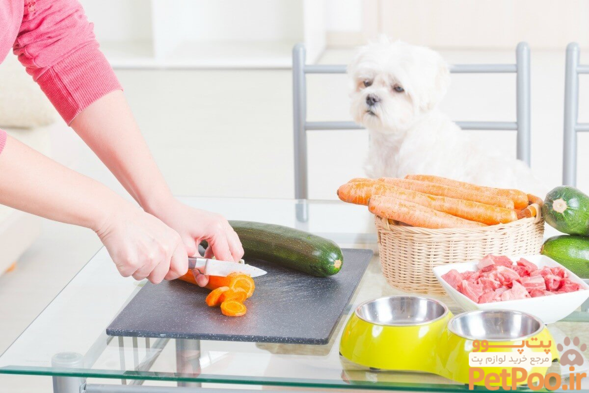 dog food 1