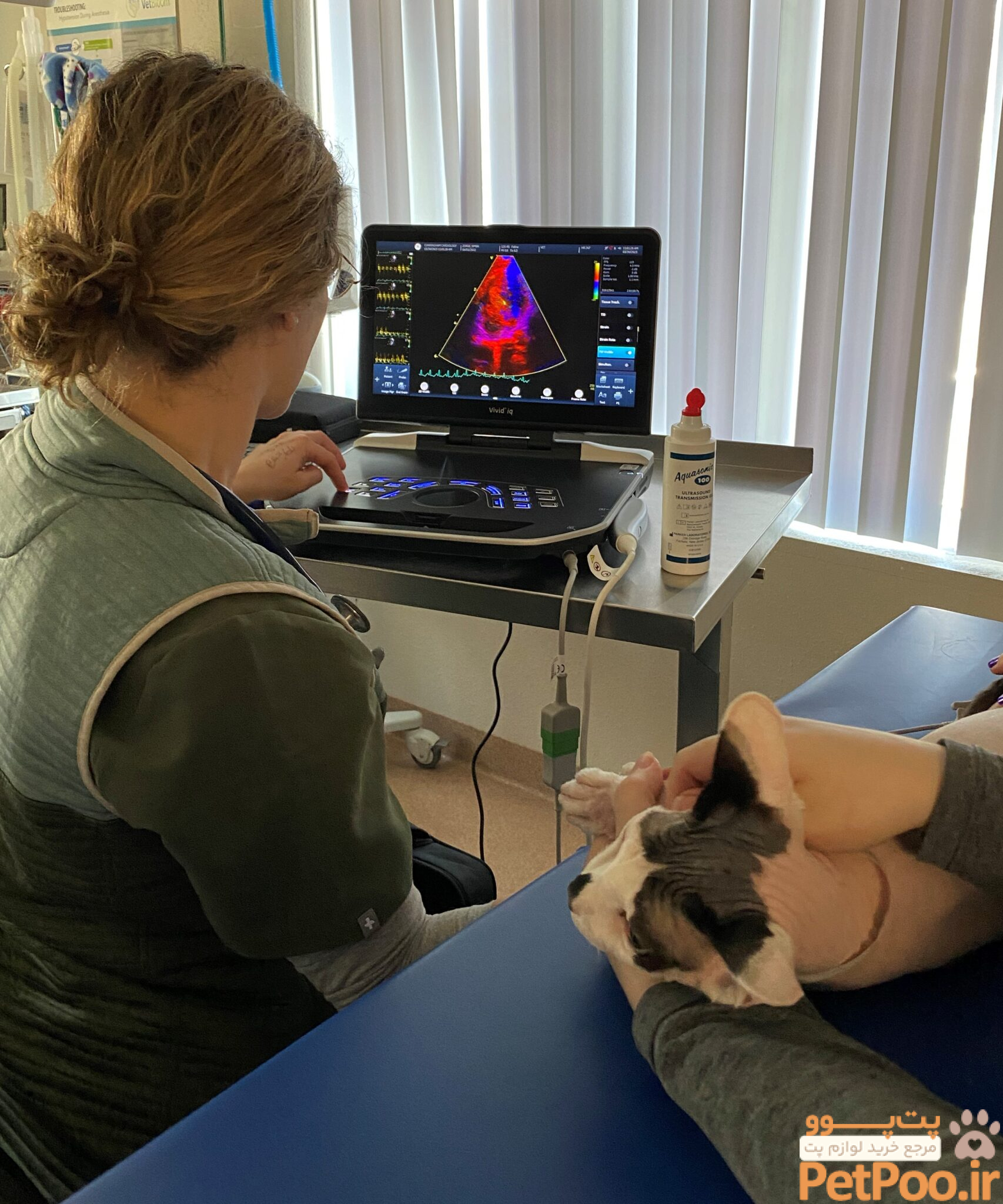 Pet Ultrasound in Shrewsbury | Community Animal Hospital