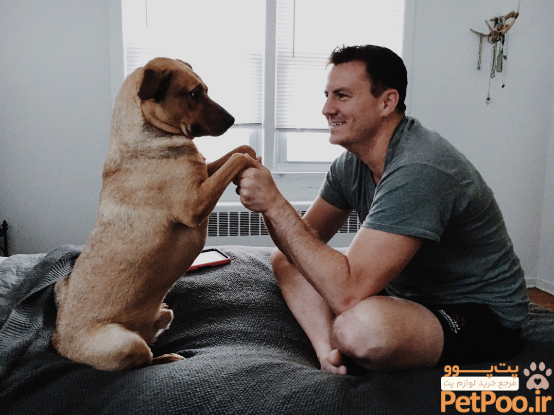 5 علامت عشق سگ ها به شما-@ITPetnet