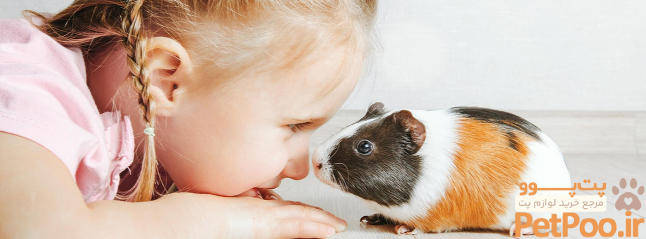 بهترین حیوانات خانگی برای کودکان چیست؟ 5 Choosing The Best Pets For Children | ManyPets